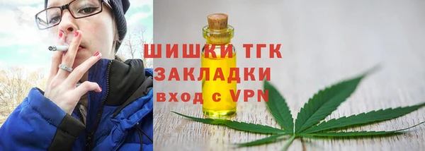 гашик Арсеньев