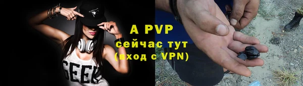гашик Арсеньев