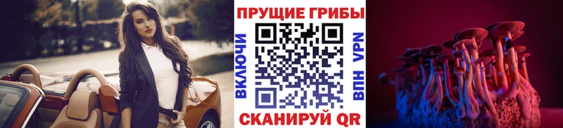закладки  Заполярный  blacksprut сайт  дарк нет какой сайт  Галлюциногенные грибы Cubensis 