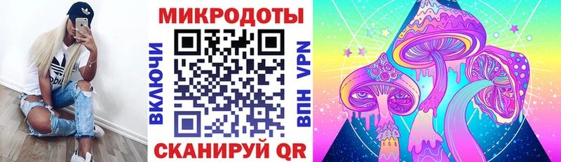 Псилоцибиновые грибы Psilocybe Заполярный